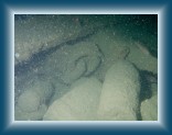 116P7100390_DE * 2560 x 1920 * (3.71MB)